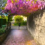 App Milija Rovinj