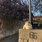 App Milija * Rovinj