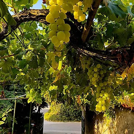 App Milija Apartment