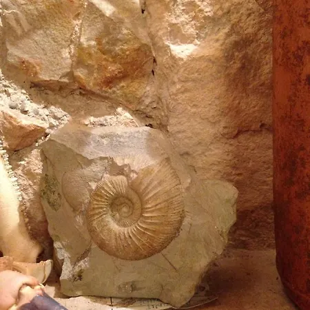 Apartment App Milija Rovinj