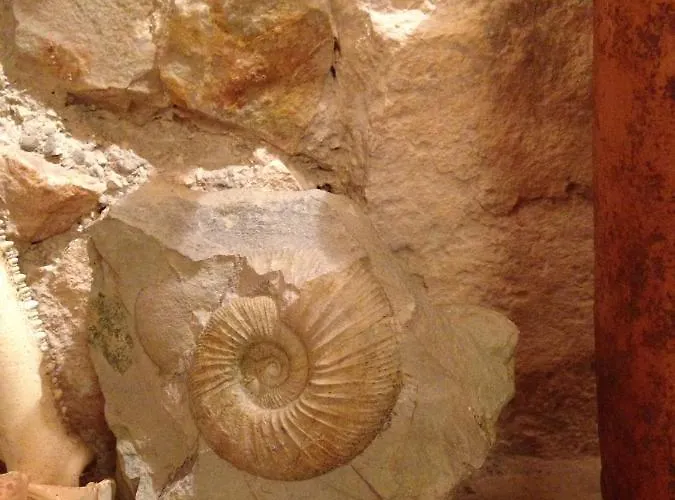 Appartamento App Milija Rovigno