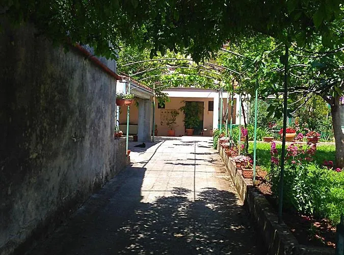 App Milija * Rovigno