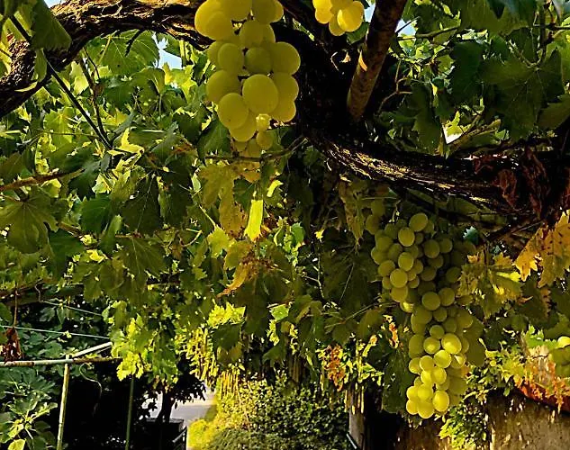 App Milija Apartmán