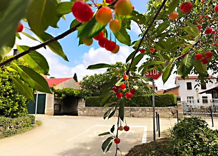 App Milija Apartmán