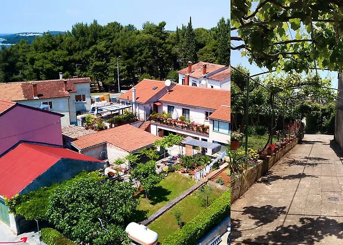 App Milija Ρόβινι